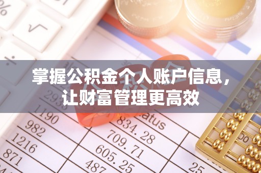 沙河掌握公积金个人账户信息，让财富管理更高效